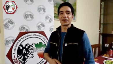 موسي جابري-أسيلا