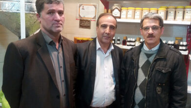 كرمي -افضل-نجاة