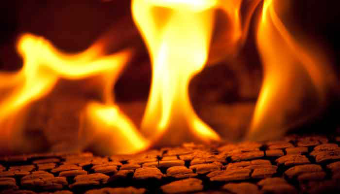 self immolation of MEK members