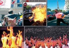 MEK members self-immolation