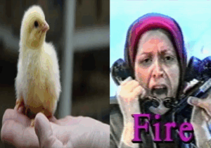 وقتی در زندان ها دسته دسته بچه ها را شکنجه می کردند،مریم رجوی کجا بود؟!