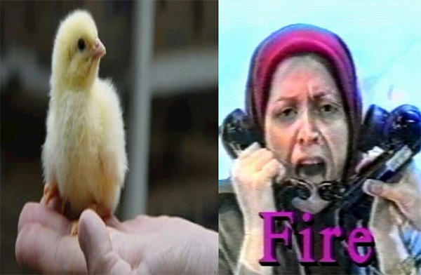 وقتی در زندان ها دسته دسته بچه ها را شکنجه می کردند،مریم رجوی کجا بود؟!