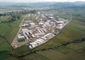 چرا فرقه رجوی آمار تلفاتش در زلزله تیرانا را مخفی می کند