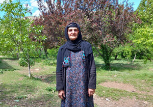 دیدار اعضای انجمن نجات لرستان با مادر حجت عزیزی