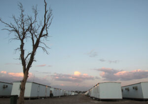 زیاده خواهی های مریم و مسعود، علت فوت این ۲۴ نفر بود