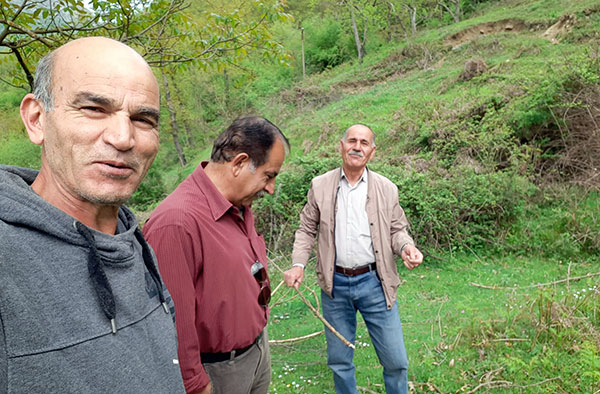 جداشده ها در آلبانی