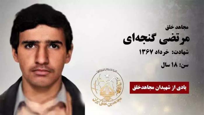 مرتضی گنجه‌ای