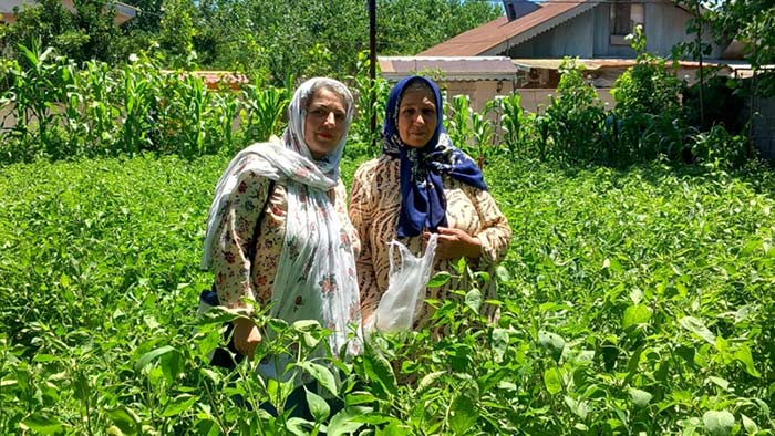خانواده علی اصغر حاتم