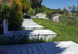 صابر و صابرها چه بیهوده زندگی شان را تلف کردند