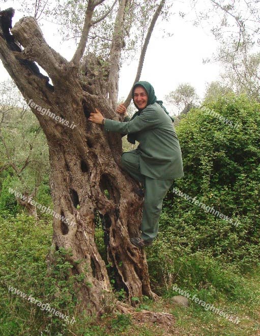 زنان مجاهدین