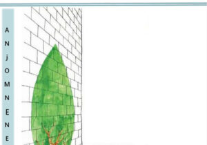 نشریه انجمن نجات شماره ۸۸