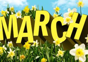 برنامه های پیش روی انجمن نجات آلبانی در ماه جاری میلادی