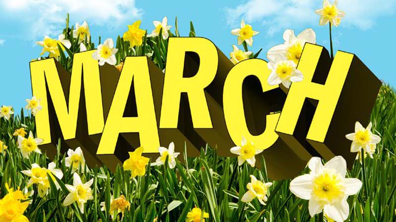 برنامه های پیش روی انجمن نجات آلبانی در ماه جاری میلادی