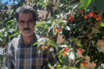 گفتگوی فواد بصری با محمد نجفی برادر حسن نجفی