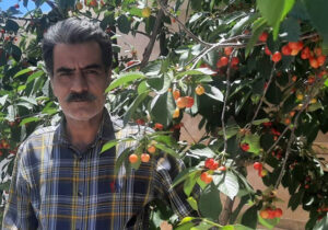 نامه محمد نجفی به برادرش حسن نجفی در کمپ آلبانی
