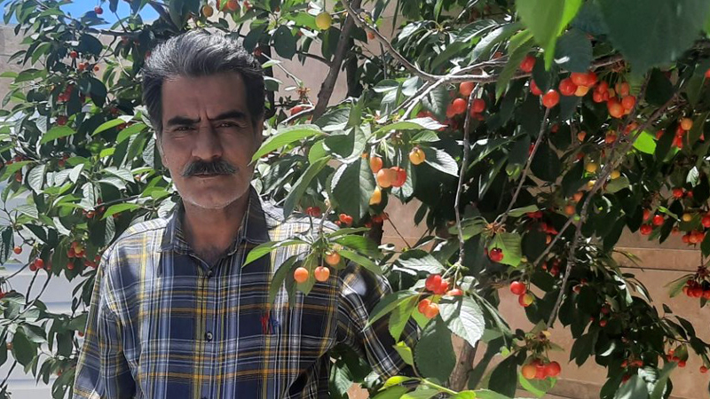 نامه محمد نجفی به برادرش حسن نجفی در کمپ آلبانی
