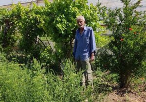 نامه جواد نصیری به برادرش هادی نصیری در کمپ مجاهدین خلق