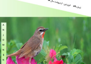 نشریه انجمن نجات شماره ۸۹