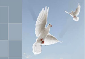 نشریه انجمن نجات شماره ۸۶