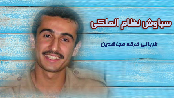 سیاوش نظام الملکی