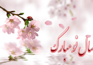 پیام مسئول انجمن نجات بوشهر در آستانه سال نو