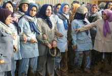 زنان عضو فرقه رجوی – قرارگاه اشرف