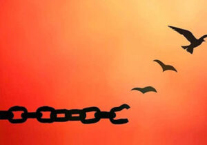 تبریک به خانواده محترم “ارجمندی” به مناسبت رهایی عزیزانشان