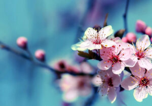 خبری در راه است