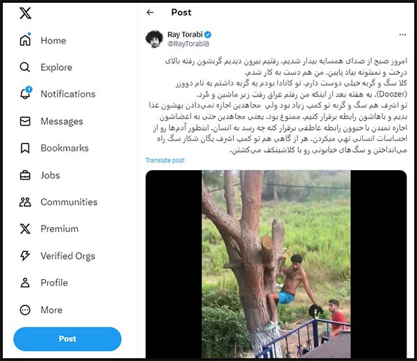 نوشته محمد رضا ترابی