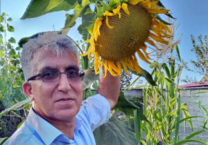 ولی جان بی صبرانه منتظر تماس تلفنی شما هستیم