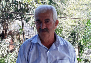 دیدار یار غایب دانی چه ذوق دارد؟