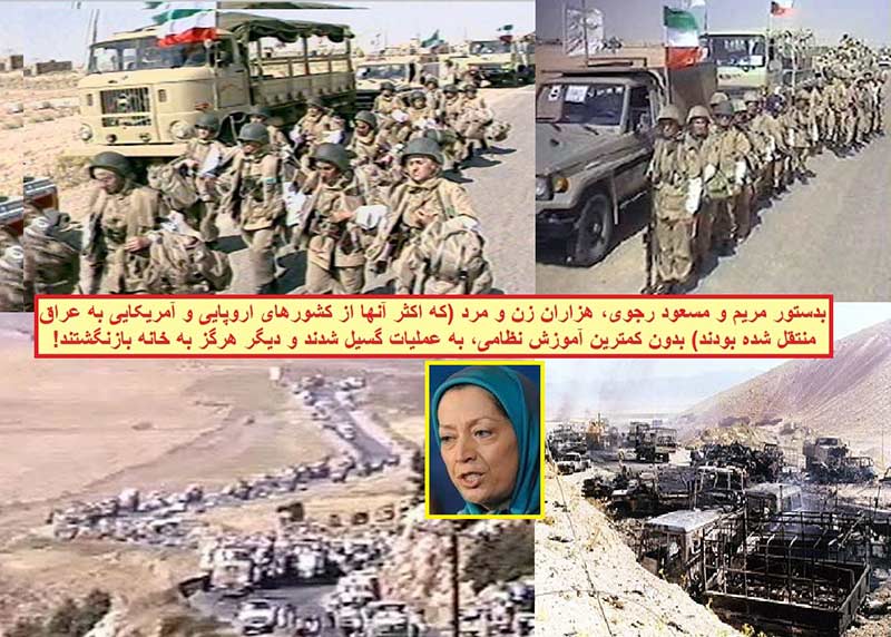 فروغ جاویدان، پایان نامه «استراتژی جنگ آزادیبخش نوین» زوج رجوی